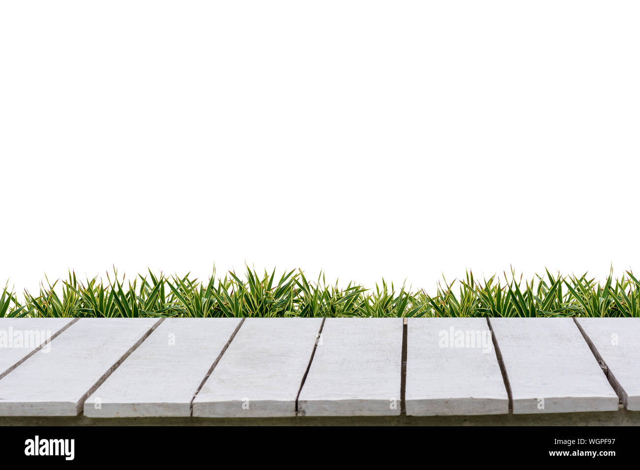 Close-up Of Board Walk By Grass Against White Background Stock Photo