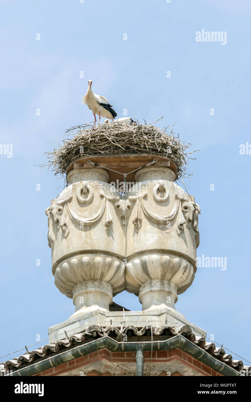 Low Angle View Of White Stork Perching Bird Nest Against Clear Sky Stock Photo