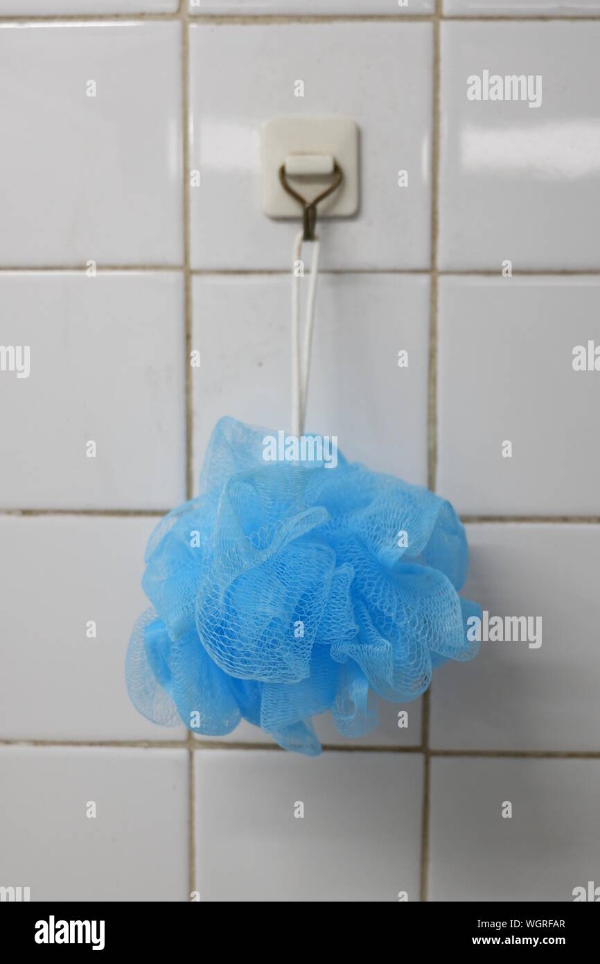Bathing sponge hires stock photography and images Alamy