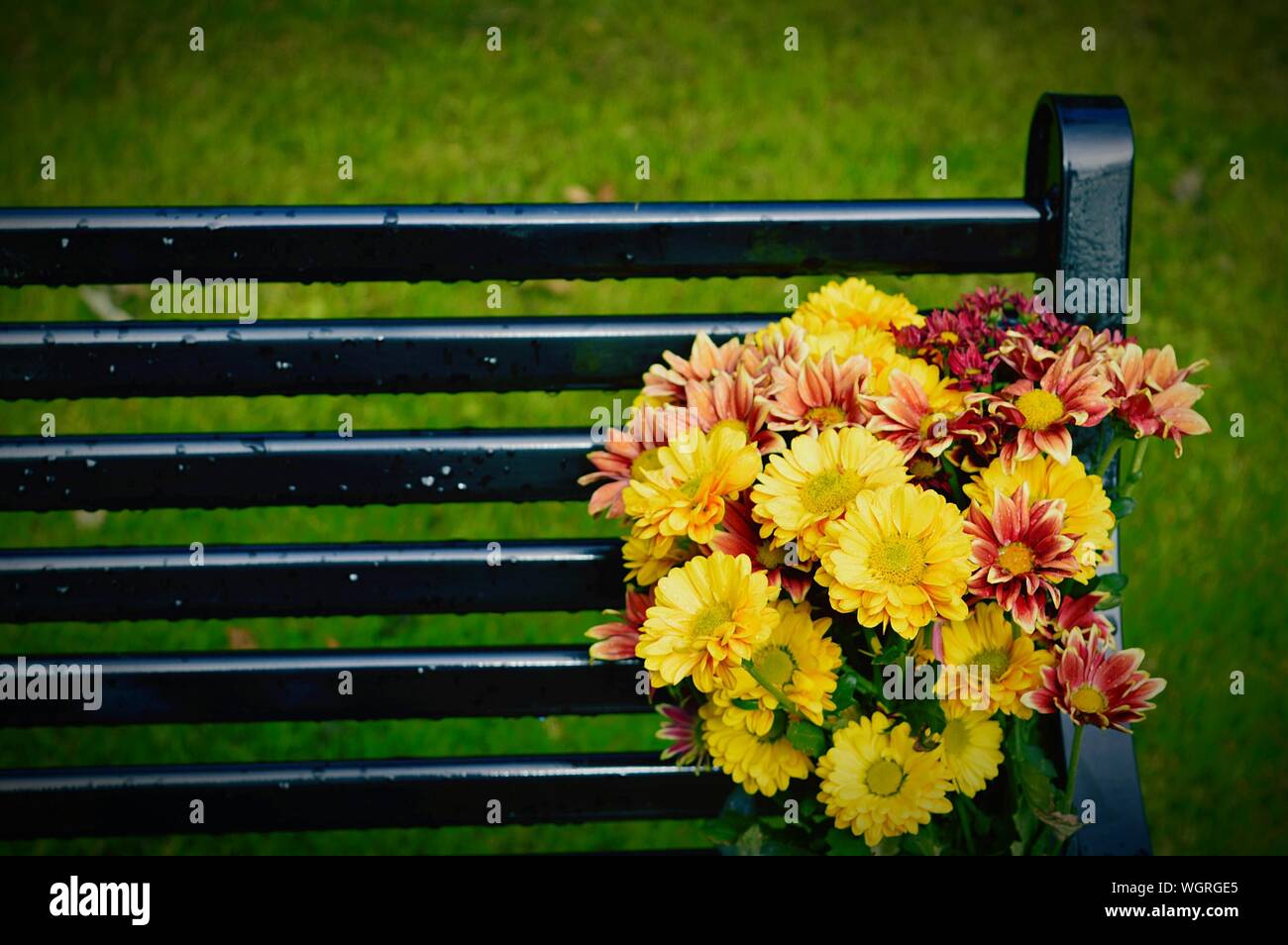 Close-up Of Flower Bouquet On Bench At Aden Country Park Stock Photo