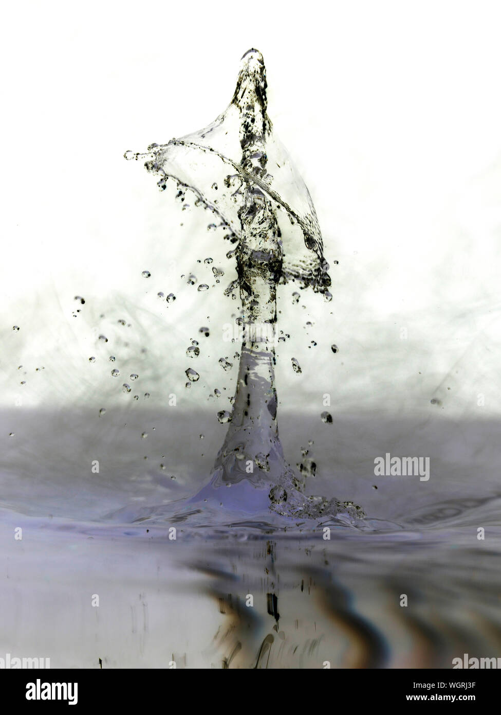 Close-up Of Water Splashed Against White Background Stock Photo