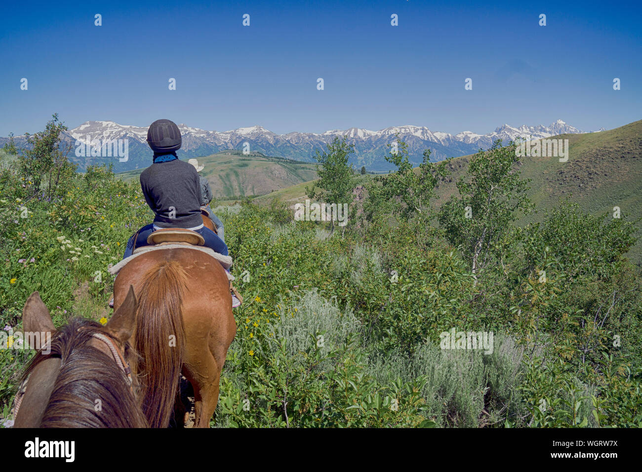 Rear view woman riding horse hi-res stock photography and images - Alamy