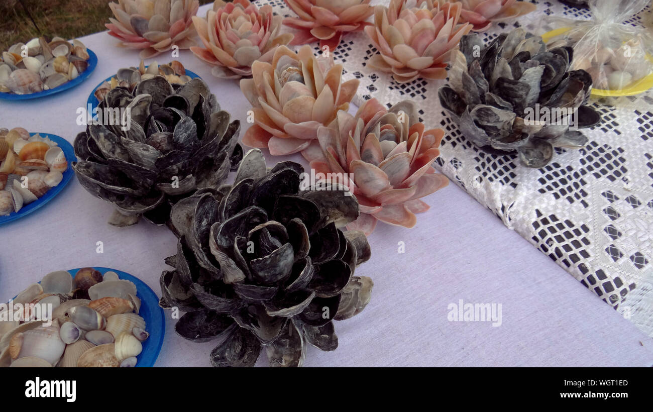 High Angle View Of Dried Succulent Plants And Shells On Table Stock Photo
