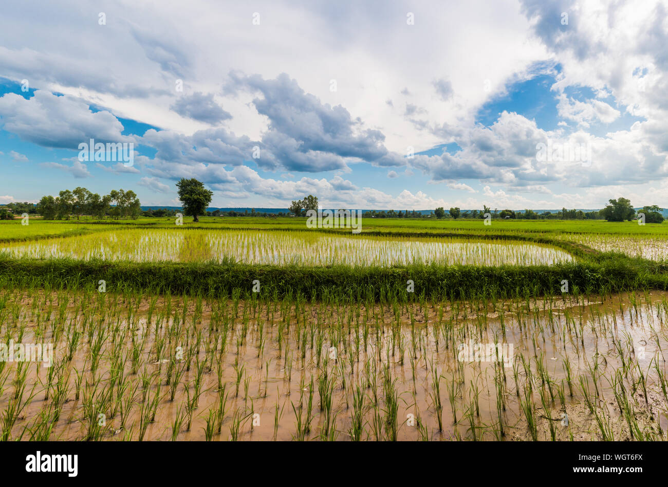 Scenic View Of Agricultural Land Against Sky Stock Photo