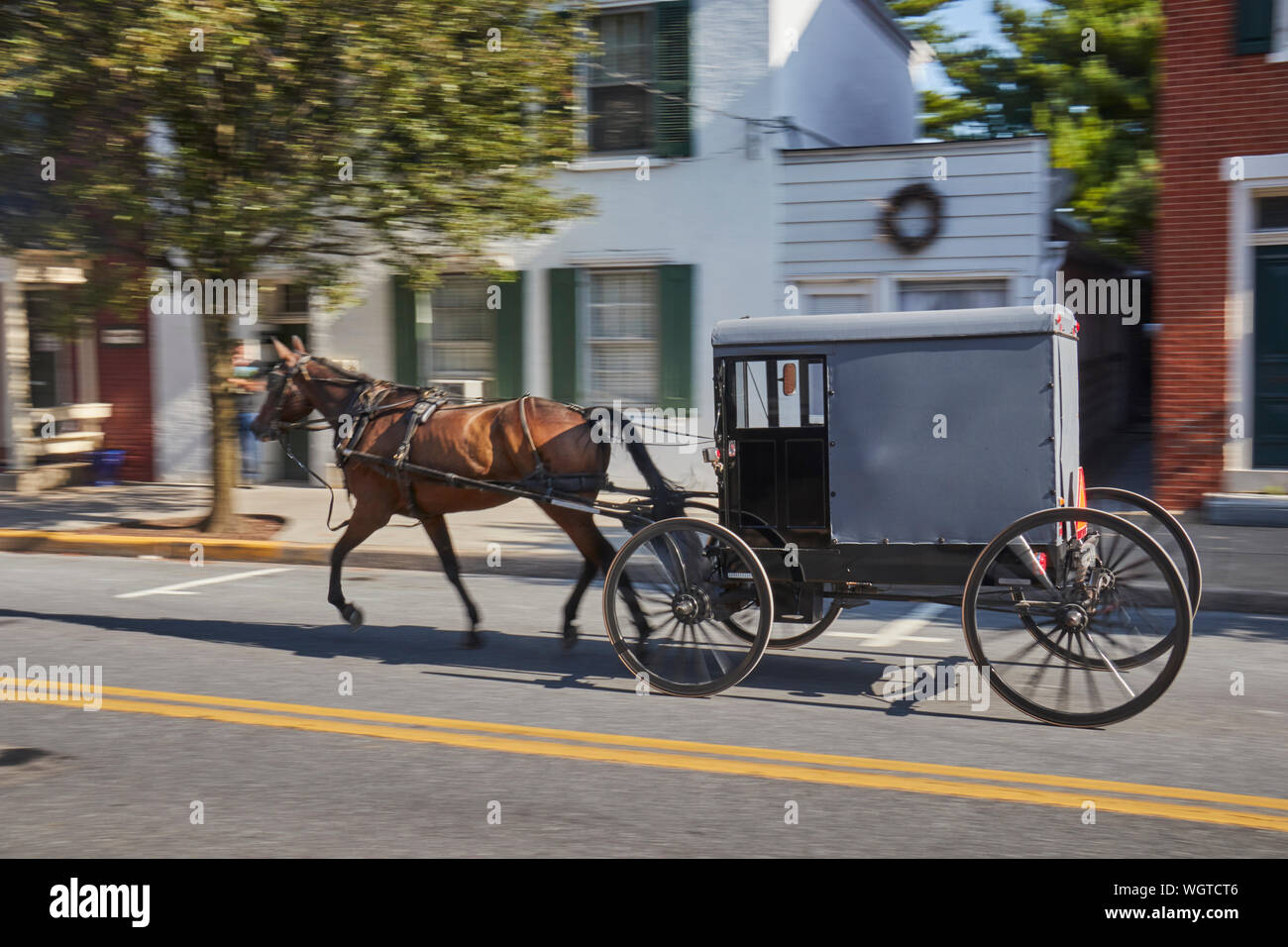 An Amish horse and buggy in the village of Lititz, Lancaster County