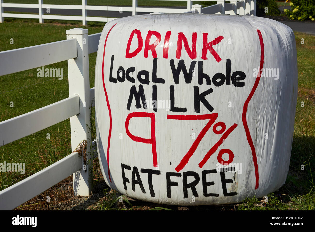 hay bales wrapped in plastic with the message 'Drink Local Whole Milk 97% fat free' on them. These bales have become common in Pennsylvania farm count Stock Photo