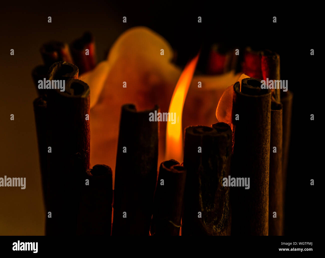 Sticks on fire plant hires stock photography and images Alamy