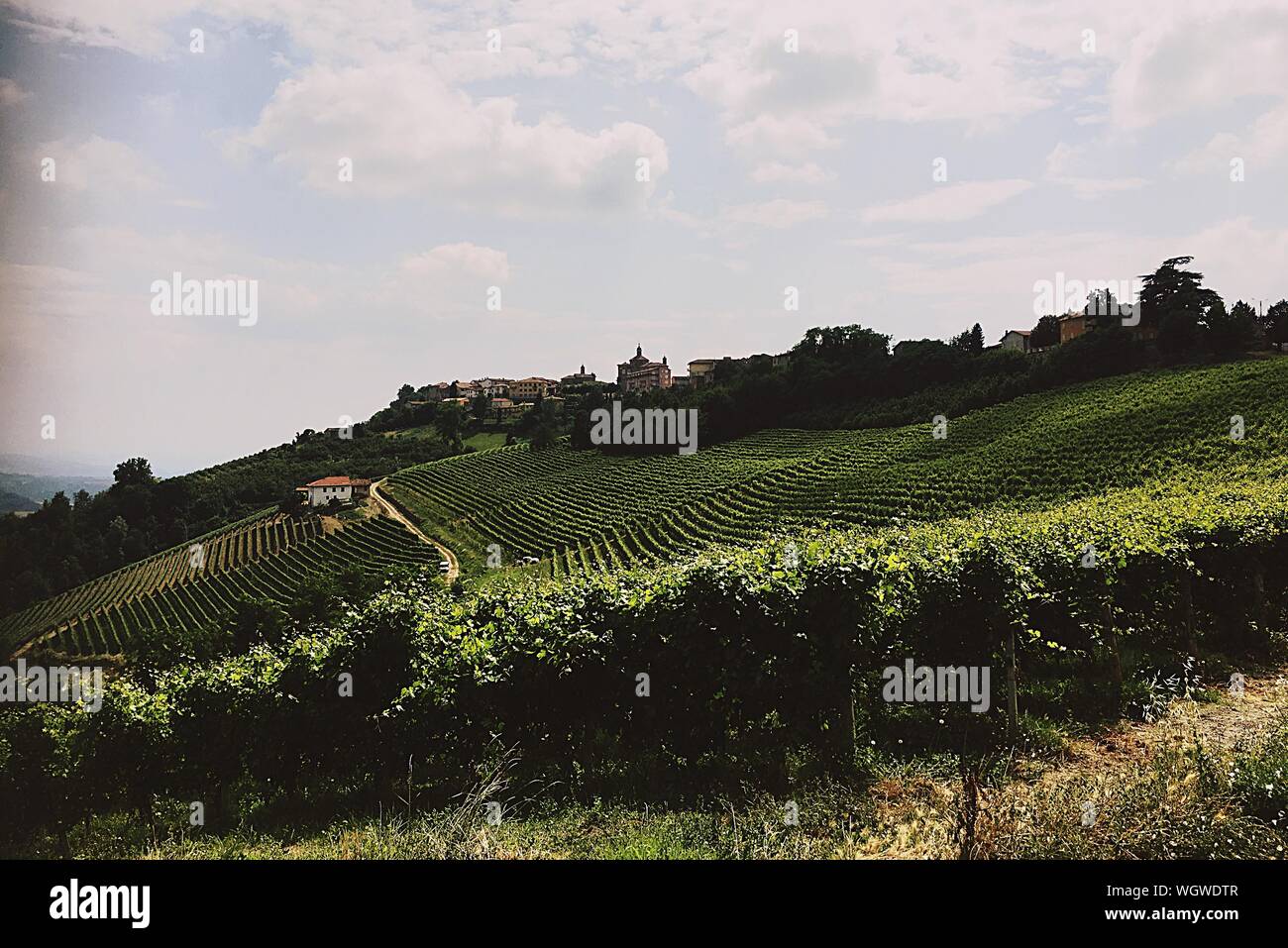 Scenic View Of Field Against Cloudy Sky Stock Photo