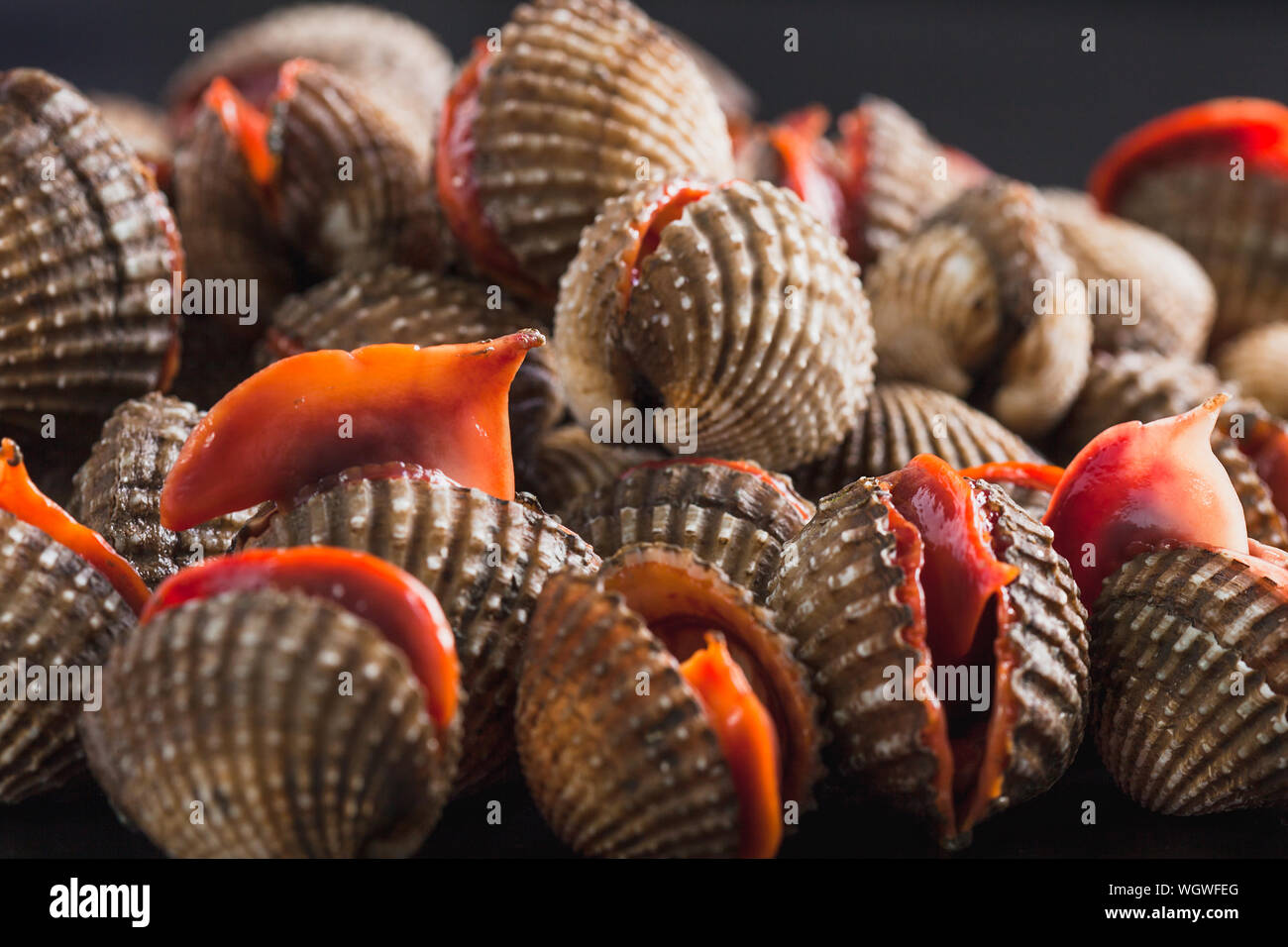 Dead Clams High Resolution Stock Photography and Images Alamy