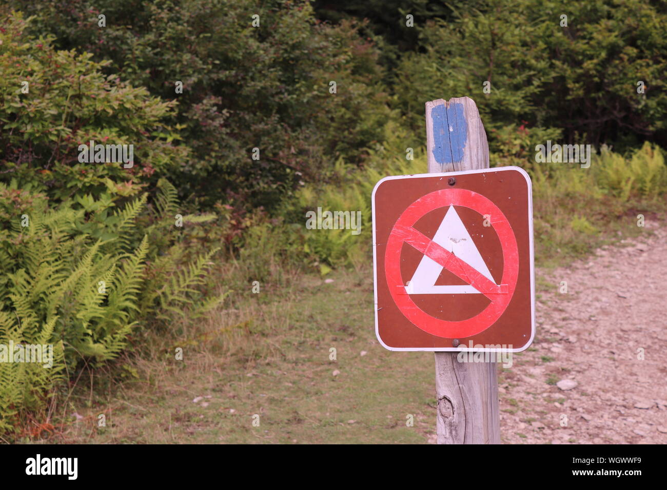 No Camping sign at Grayson Highlands State Park, Mouth of Wilson, Virginia Stock Photo