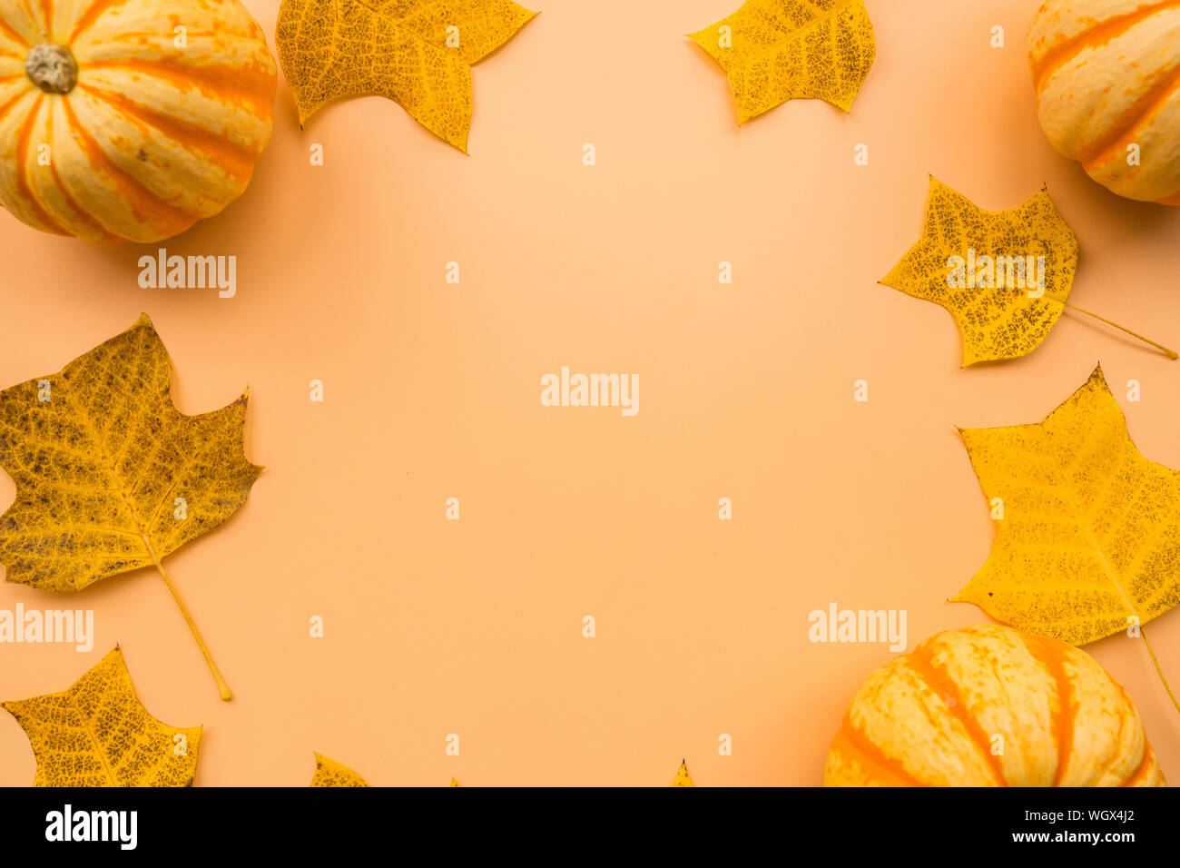 Autumn frame made of pumpkins and fallen leaves on pastel orange ...