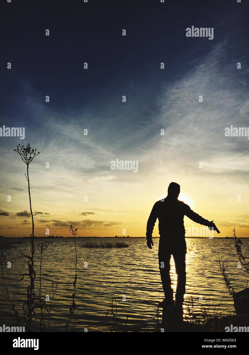 Rear View Of Silhouette Man Holding Gun In Sea Against Sky During Sunset Stock Photo