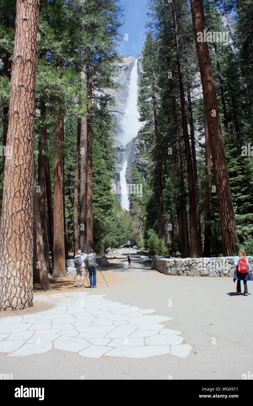 People On Road Amidst Trees Against Lower Yosemite Falls Stock Photo