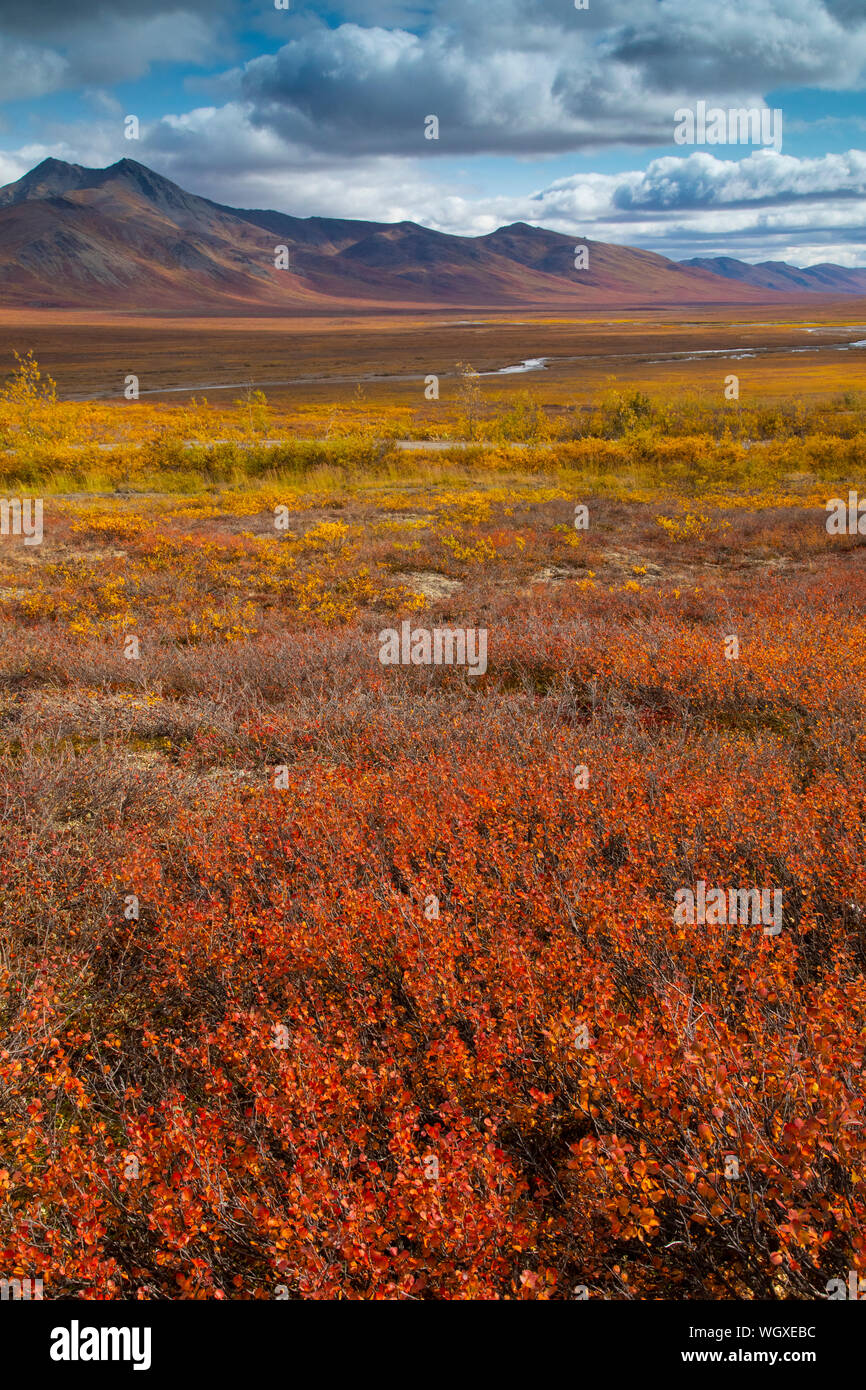 Autumn in the Brooks Range, Dalton Highway, Alaska. Stock Photo