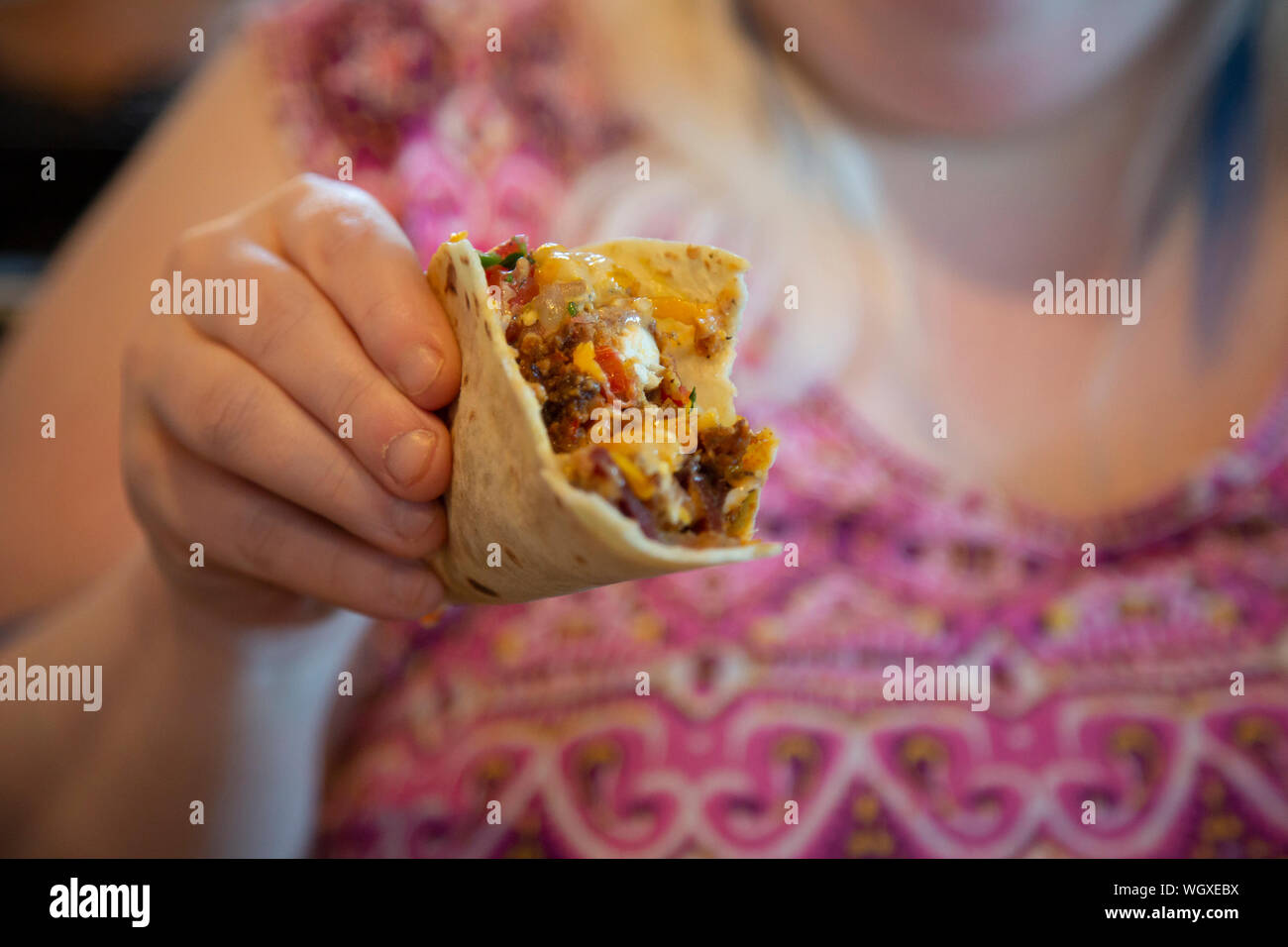 Close up of a beef taco, including meat, cheese, tomato, and sour cream Stock Photo