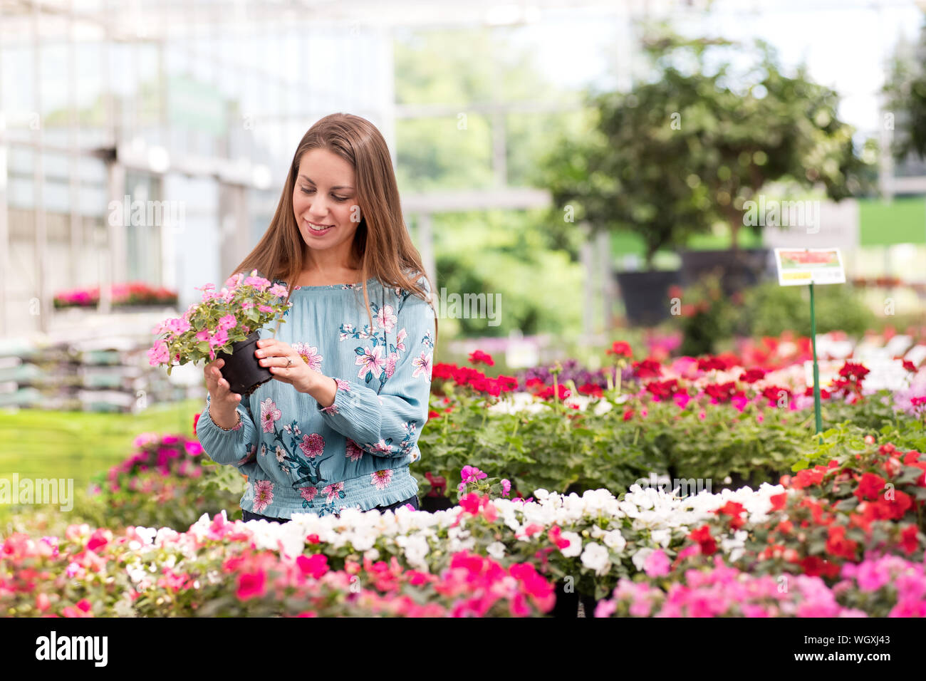 Pretty smiling young woman choosing potted flowering plants to purchase in a large nursery holding a pot of pink flowers in her hand Stock Photo