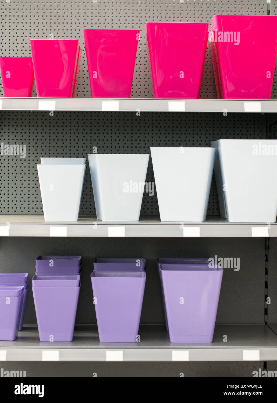 Rows of colorful flowerpots arranged in ascending sizes on shelves in a nursery shop with magenta, white a purple Stock Photo
