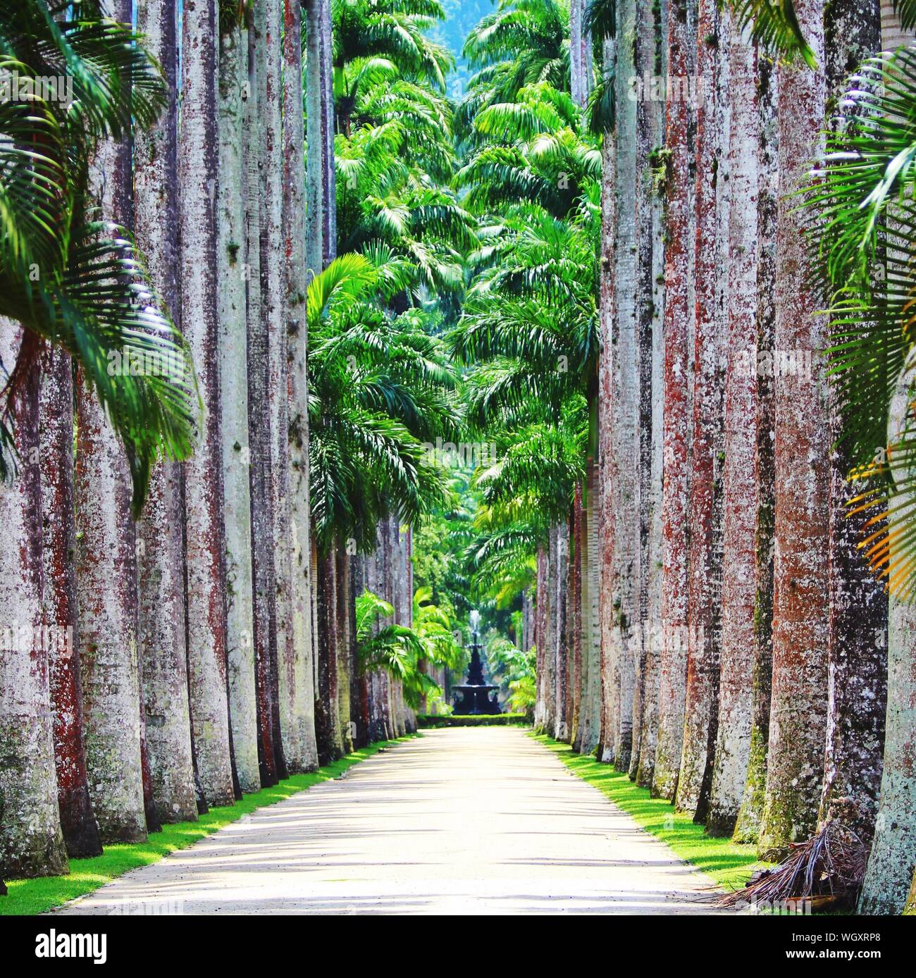 My Image 14