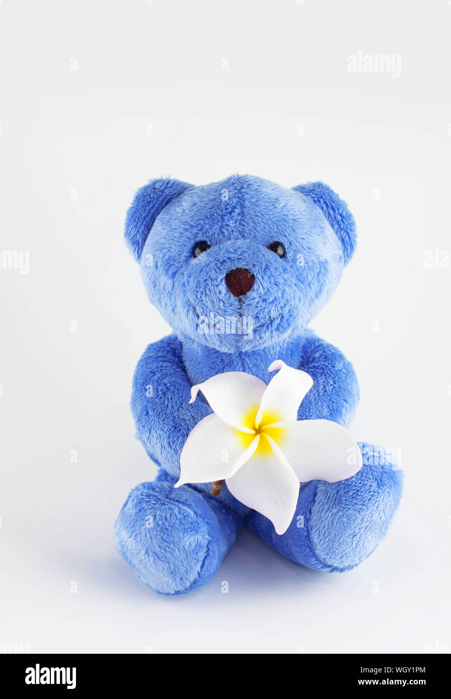 white and blue teddy bear