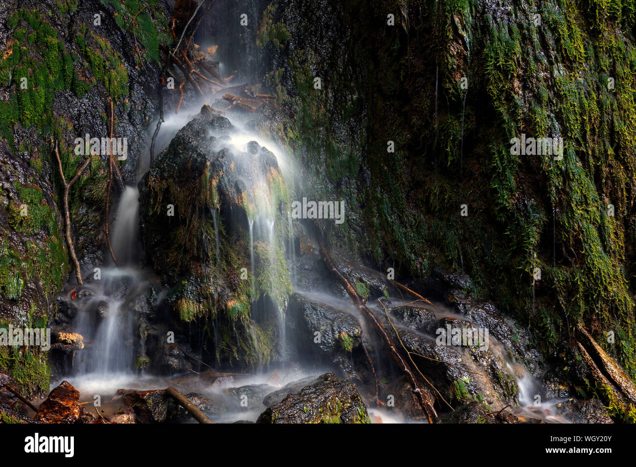 Tannegger Waterfall with its bizarre tufa formation in the Wutach Gorge Nature Reserve, Black Forest, Baden-Württemberg, Germany Stock Photo
