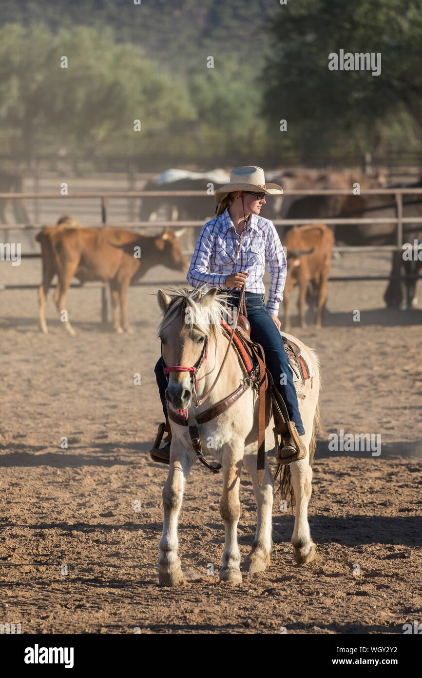 White Stallion Ranch, Tucson, Arizona. Stock Photo