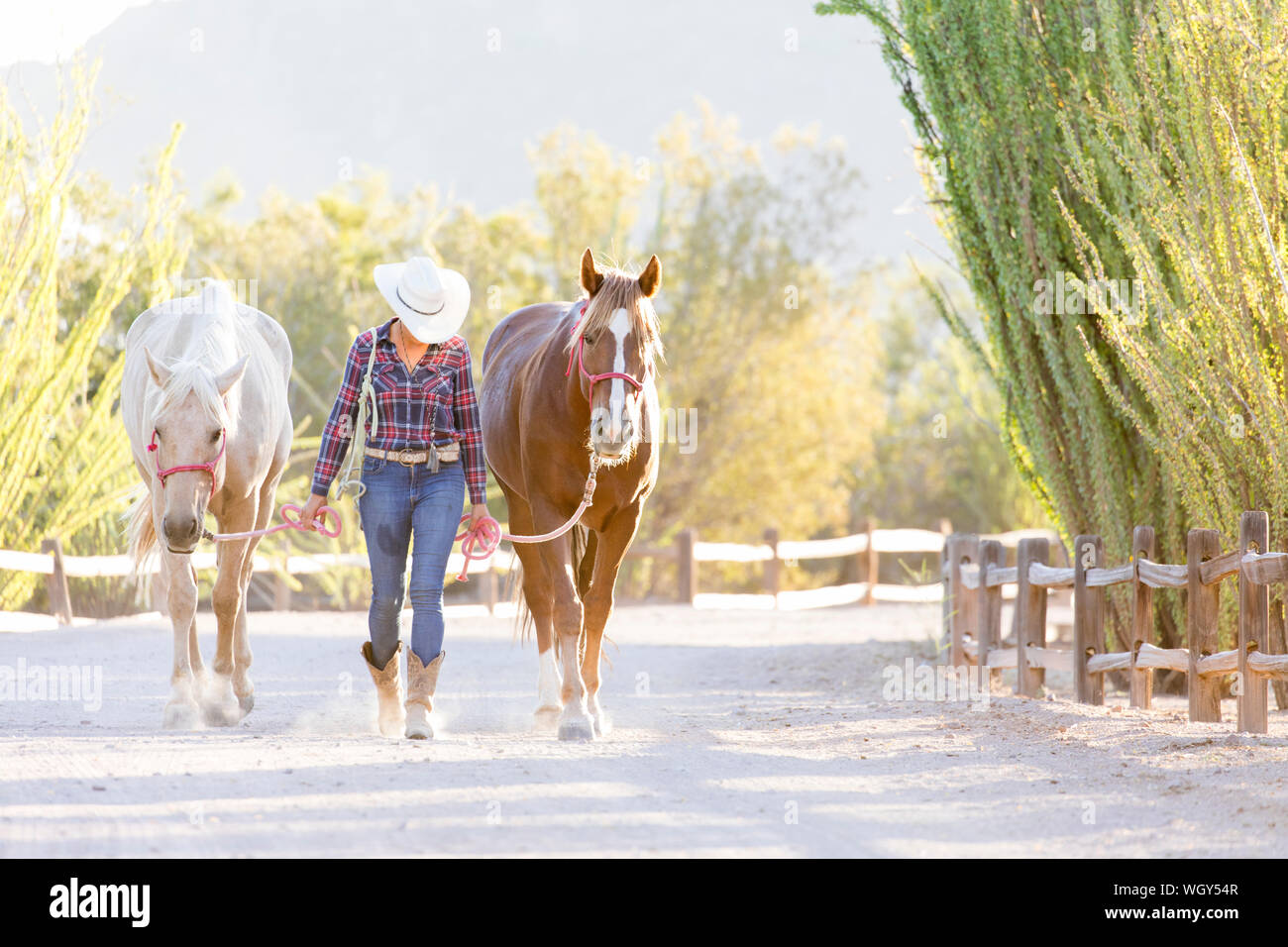 White Stallion Ranch, Tucson, Arizona. Stock Photo