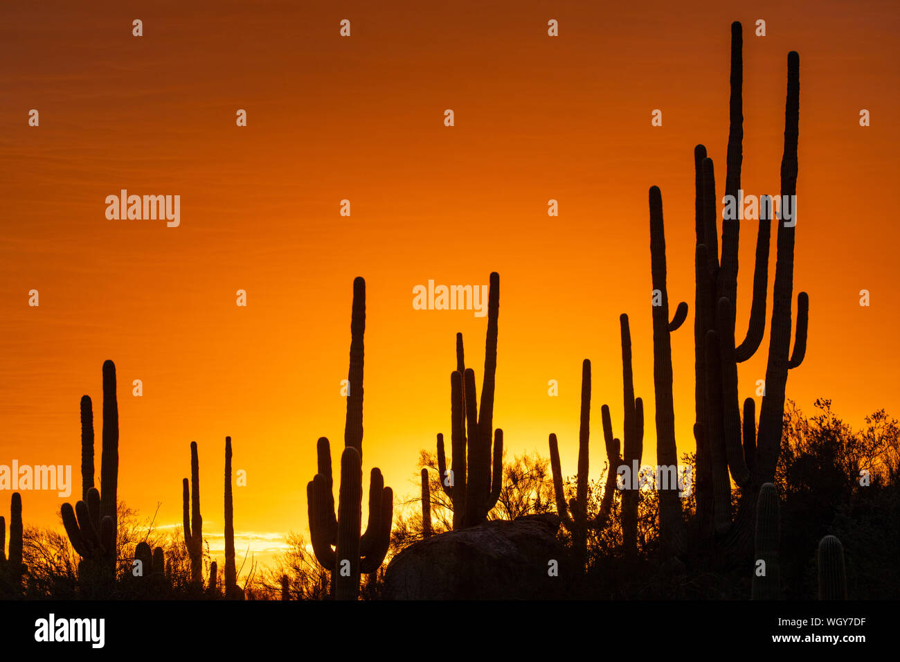 Sunset in the Tortolita Mountains, Marana, near Tucson, Arizona. Stock Photo