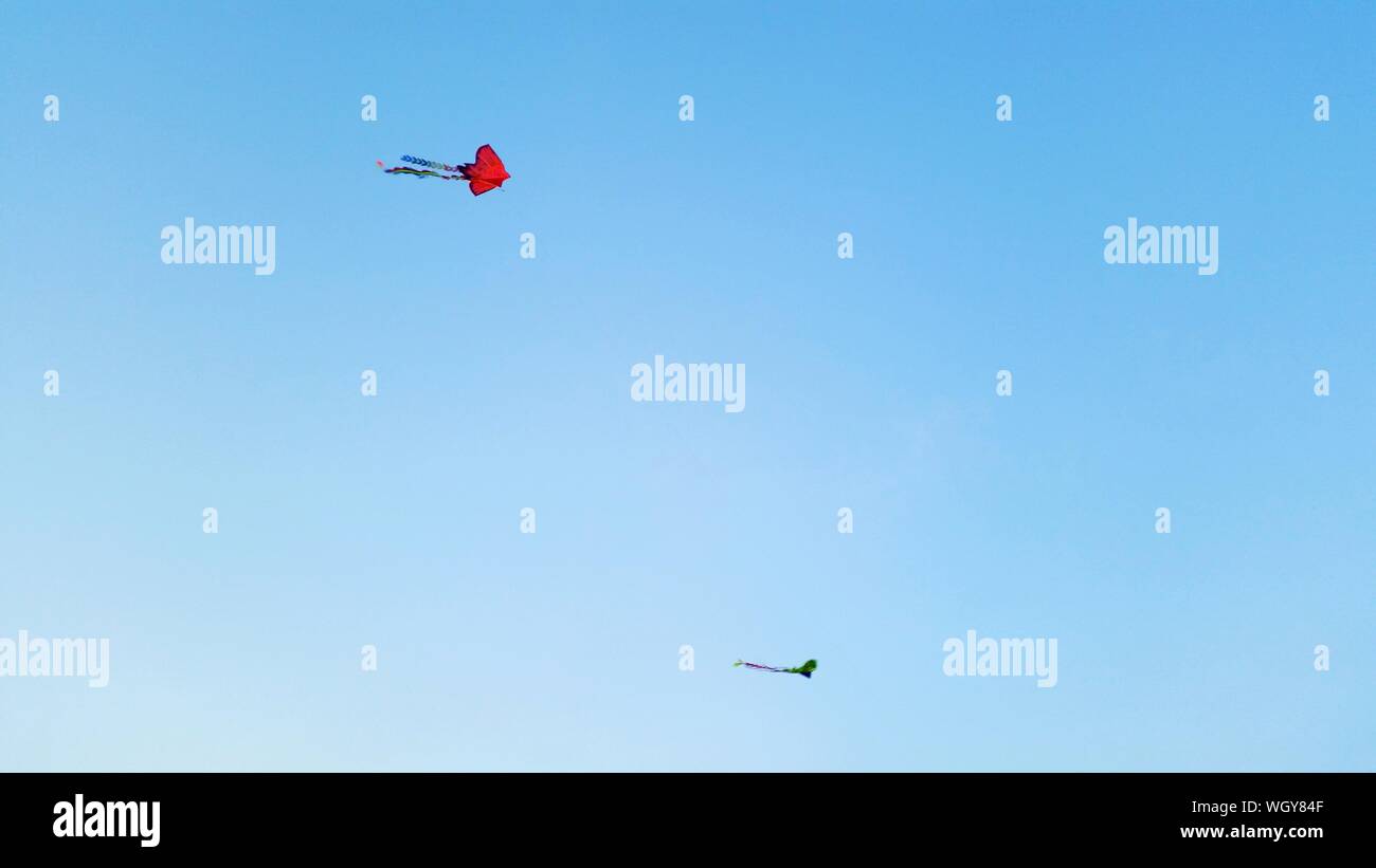 Low Angle View Of Kites Flying Against Clear Sky Stock Photo