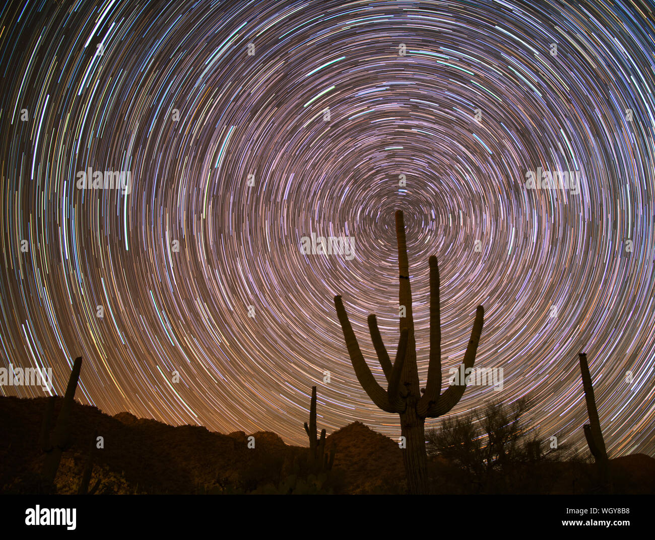 Star Trails with Saguaro cactus silhouetted.  Arizona. Stock Photo