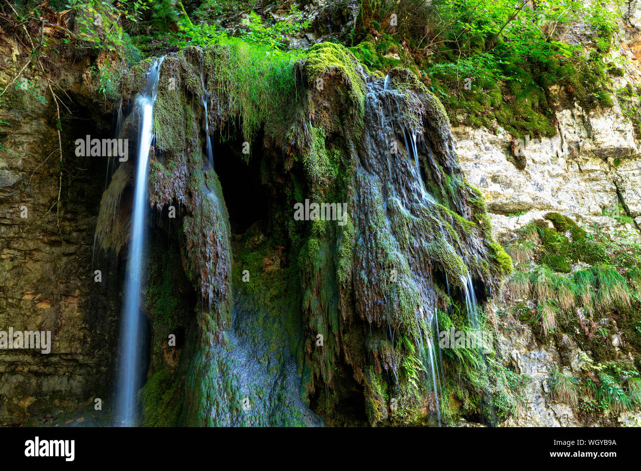 Tannegger Waterfall with its bizarre tufa formation in the Wutach Gorge Nature Reserve, Black Forest, Baden-Württemberg, Germany Stock Photo