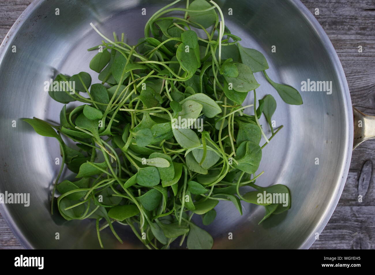 Directly Above Shot Of Leaf Vegetable In Container On Table Stock Photo