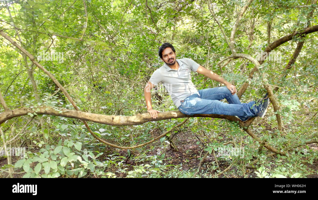 Man sitting on branch hi-res stock photography and images - Alamy
