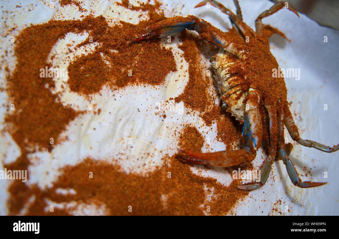 Seasoning a live crab before steaming leaves a silhouette on the table, similar to a police crime scene, or a crab scene. Stock Photo