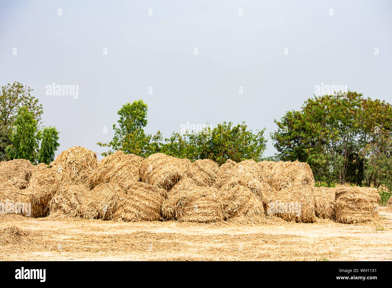 Ground background hi-res stock photography and images - Alamy