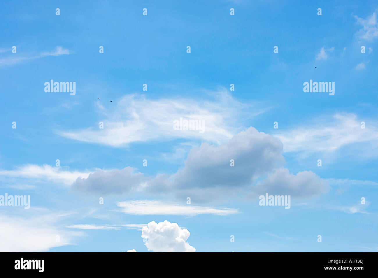 Rain clouds and birds are flying in the blue sky. Stock Photo