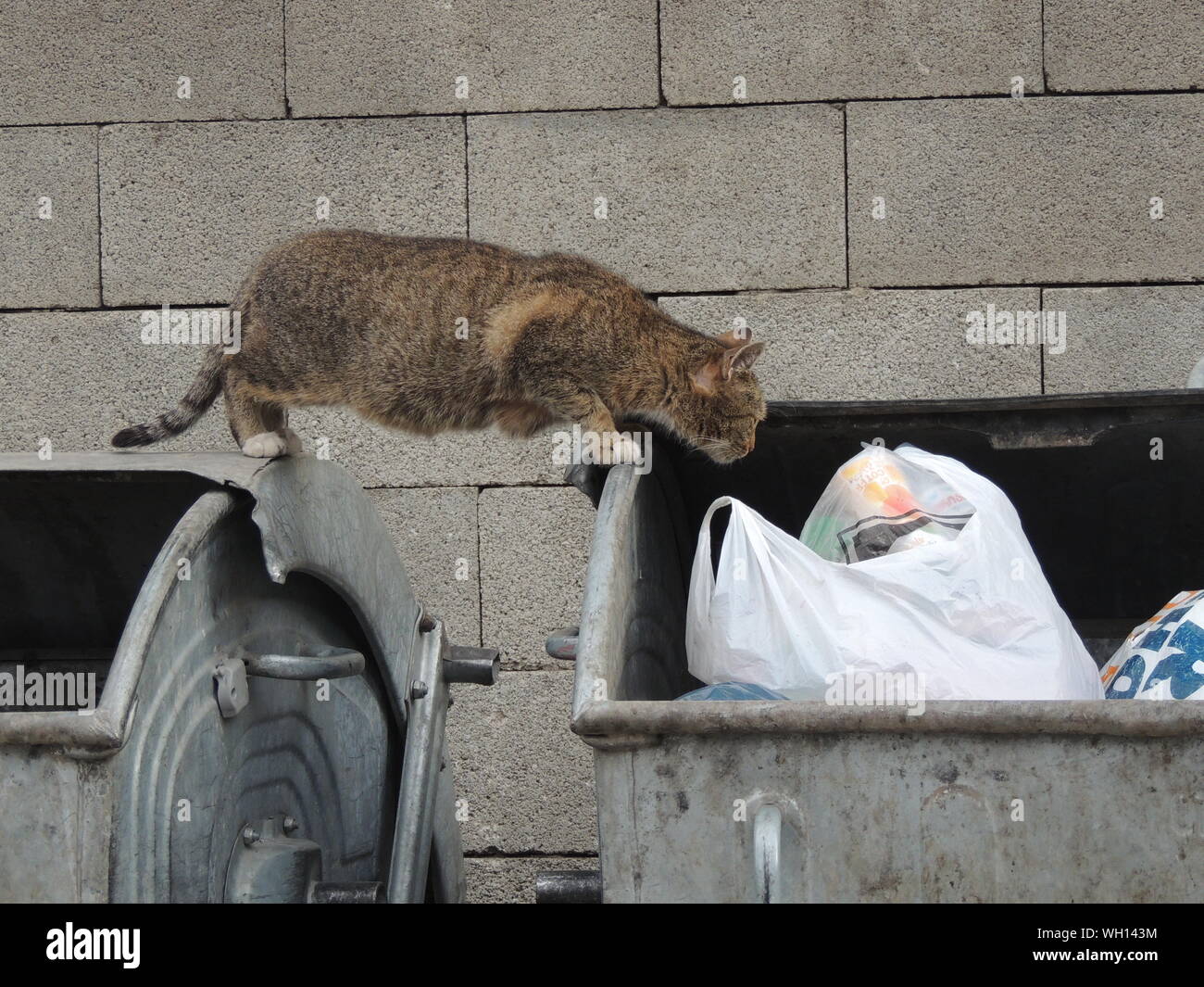 Food garbage bin hires stock photography and images Alamy