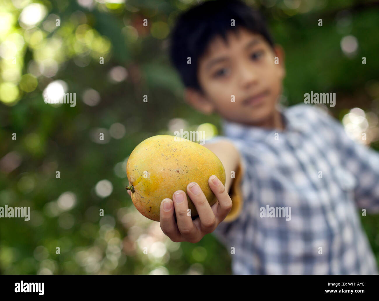 LD Boys on the Hunt Mango LS main image 0