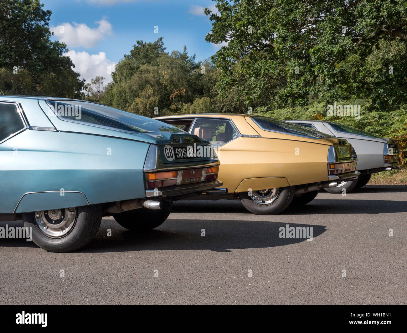 Citroen Car Club meet Stock Photo