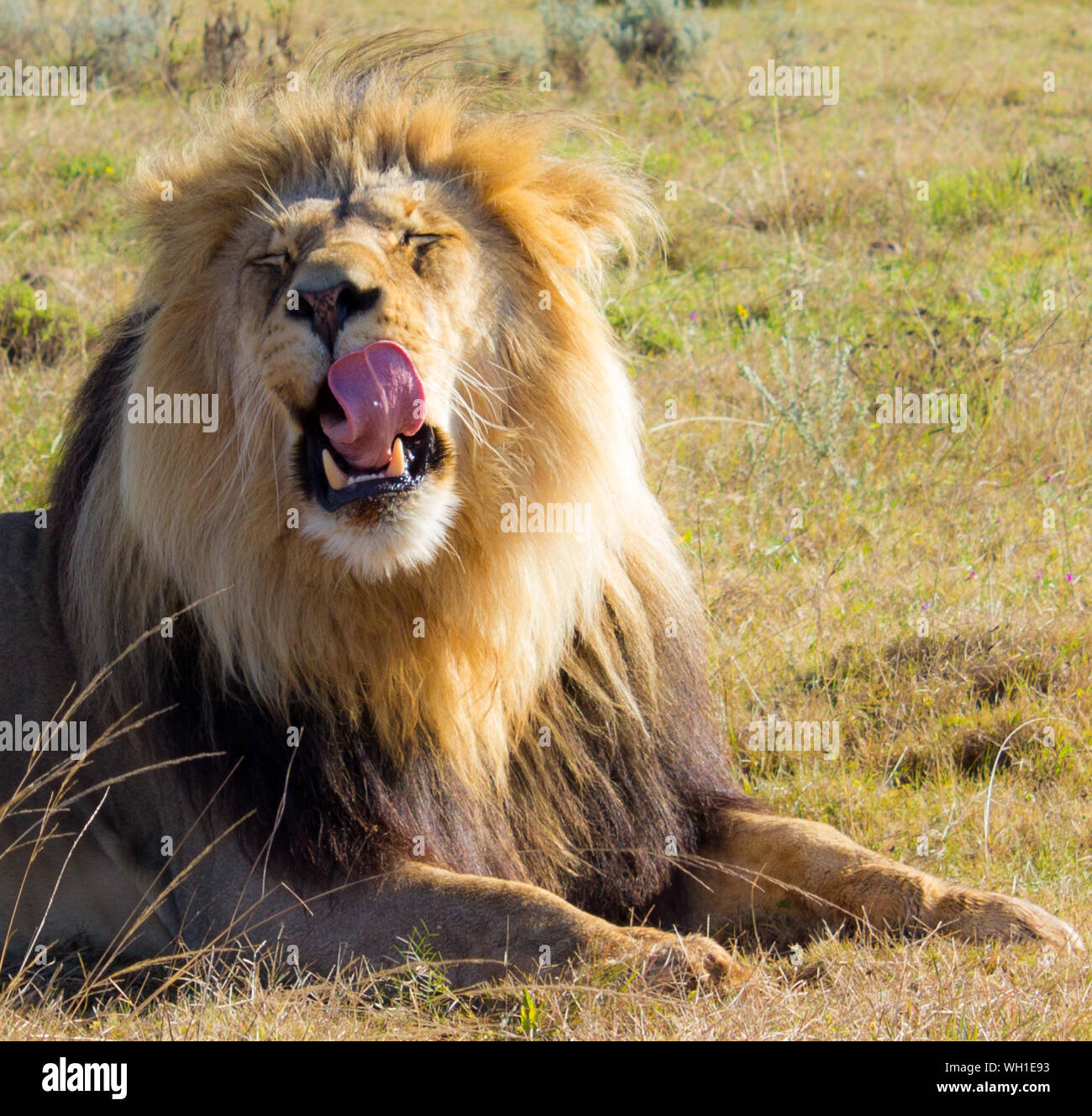 My Image 31