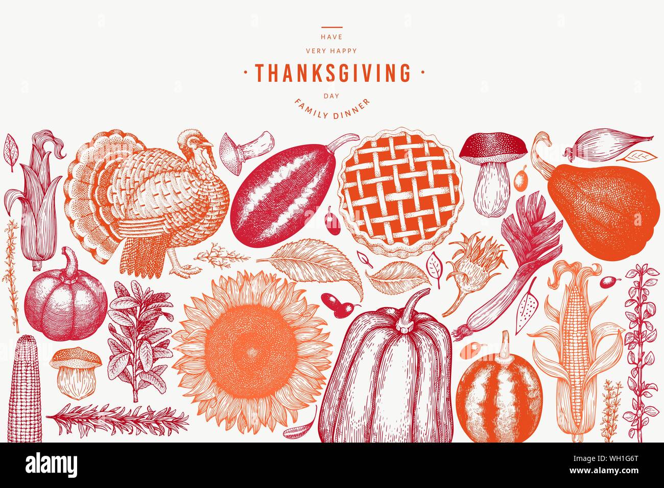 Sunflower Illustrations Stock Photos Sunflower Illustrations