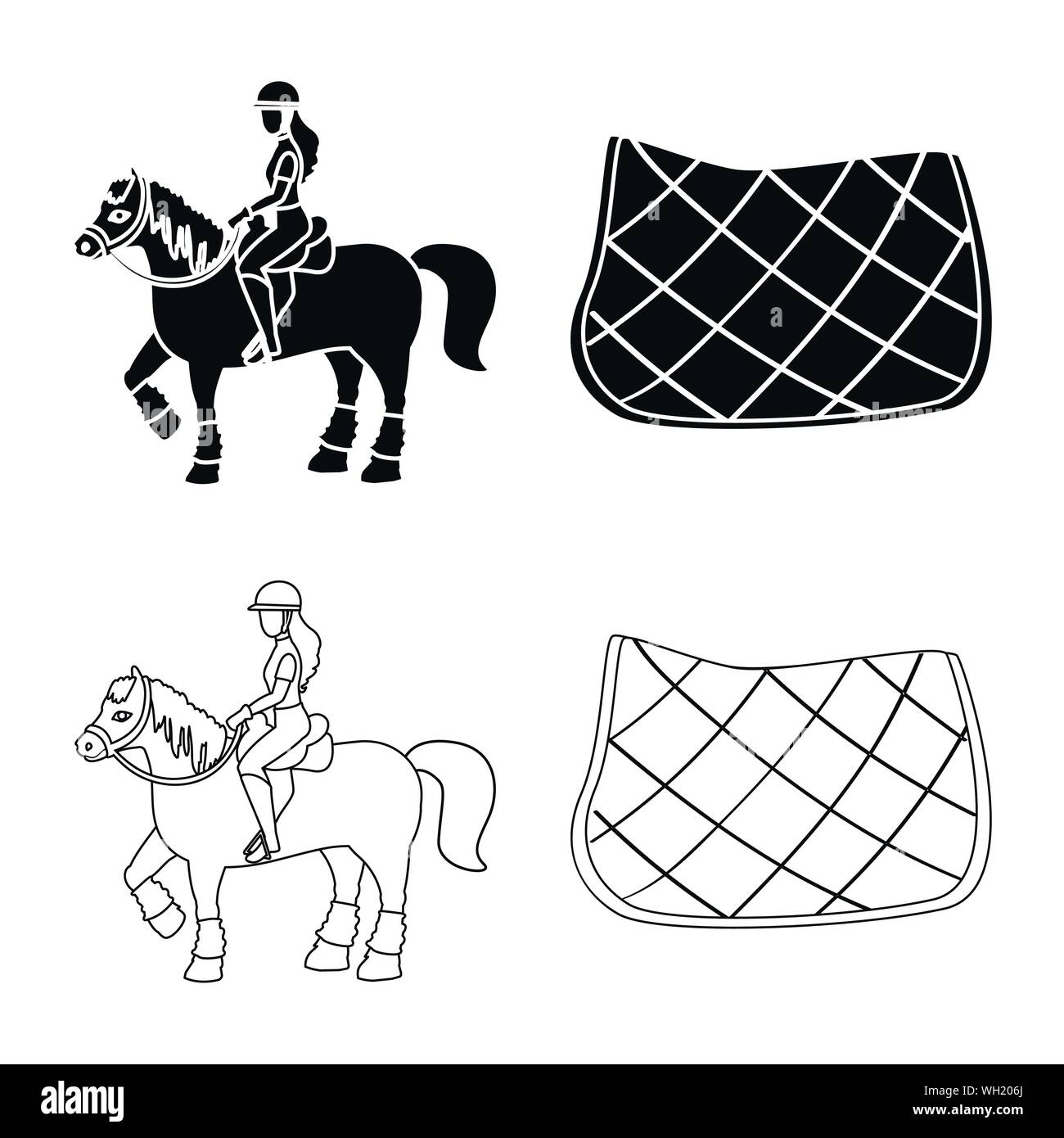 Vector illustration of equipment and riding icon. Collection of ...