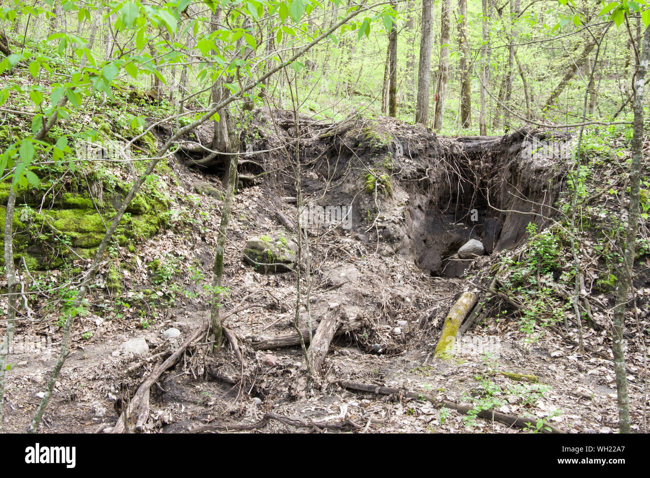 Seven Mile Creek County Park, Minnesota Stock Photo Alamy
