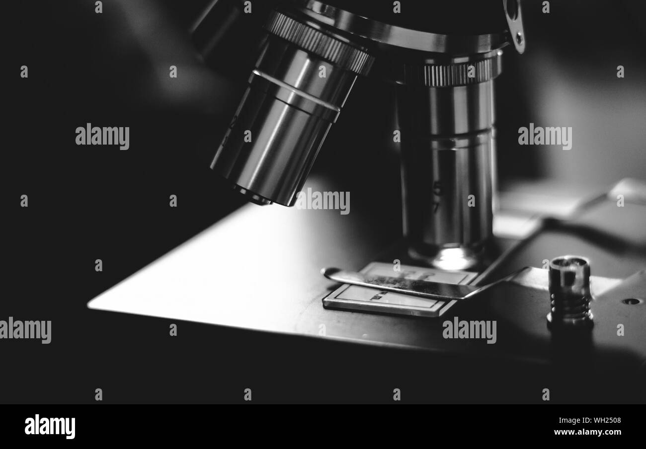 Microscope slide on microscope hires stock photography and images Alamy