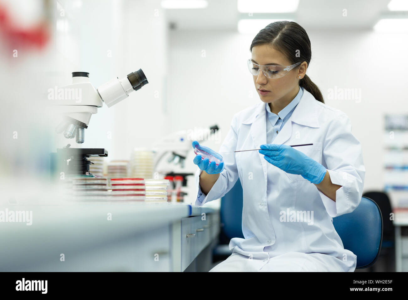 Attentive young researcher working in modern laboratory Stock Photo - Alamy