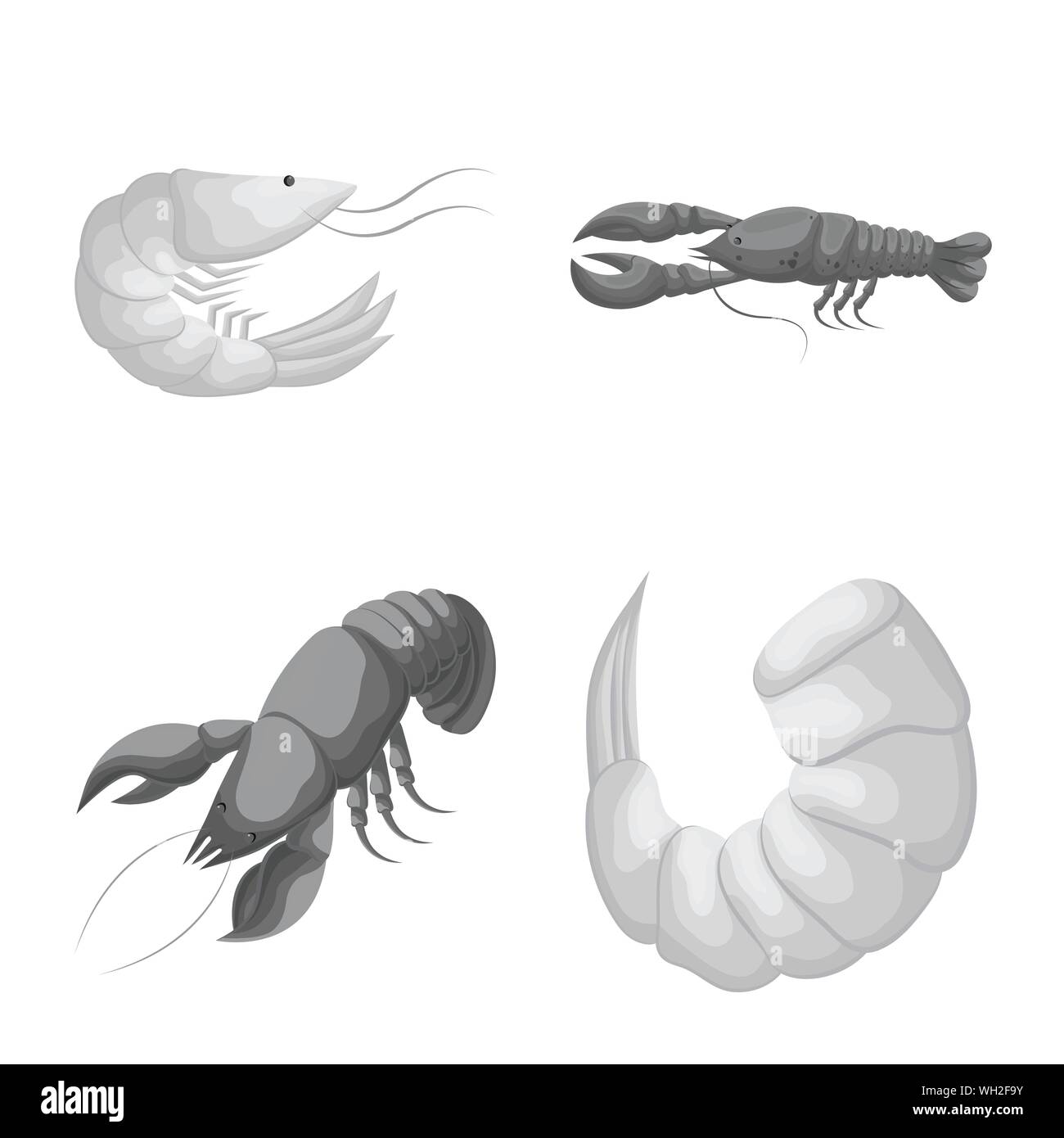 Vector Vectors Stock Vector Image & Art - Alamy