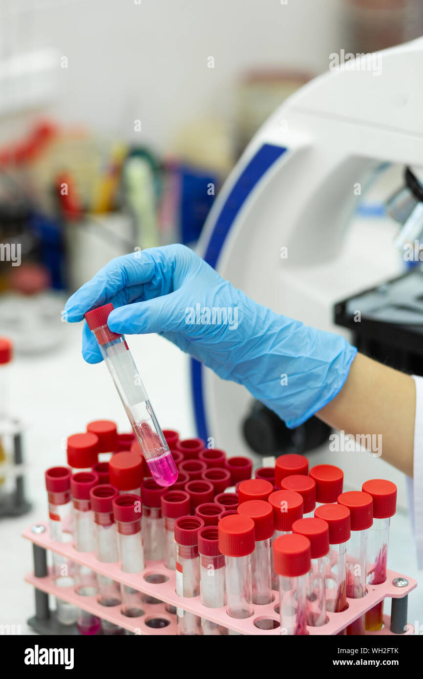 Close up of competent scientist that checking analysis Stock Photo