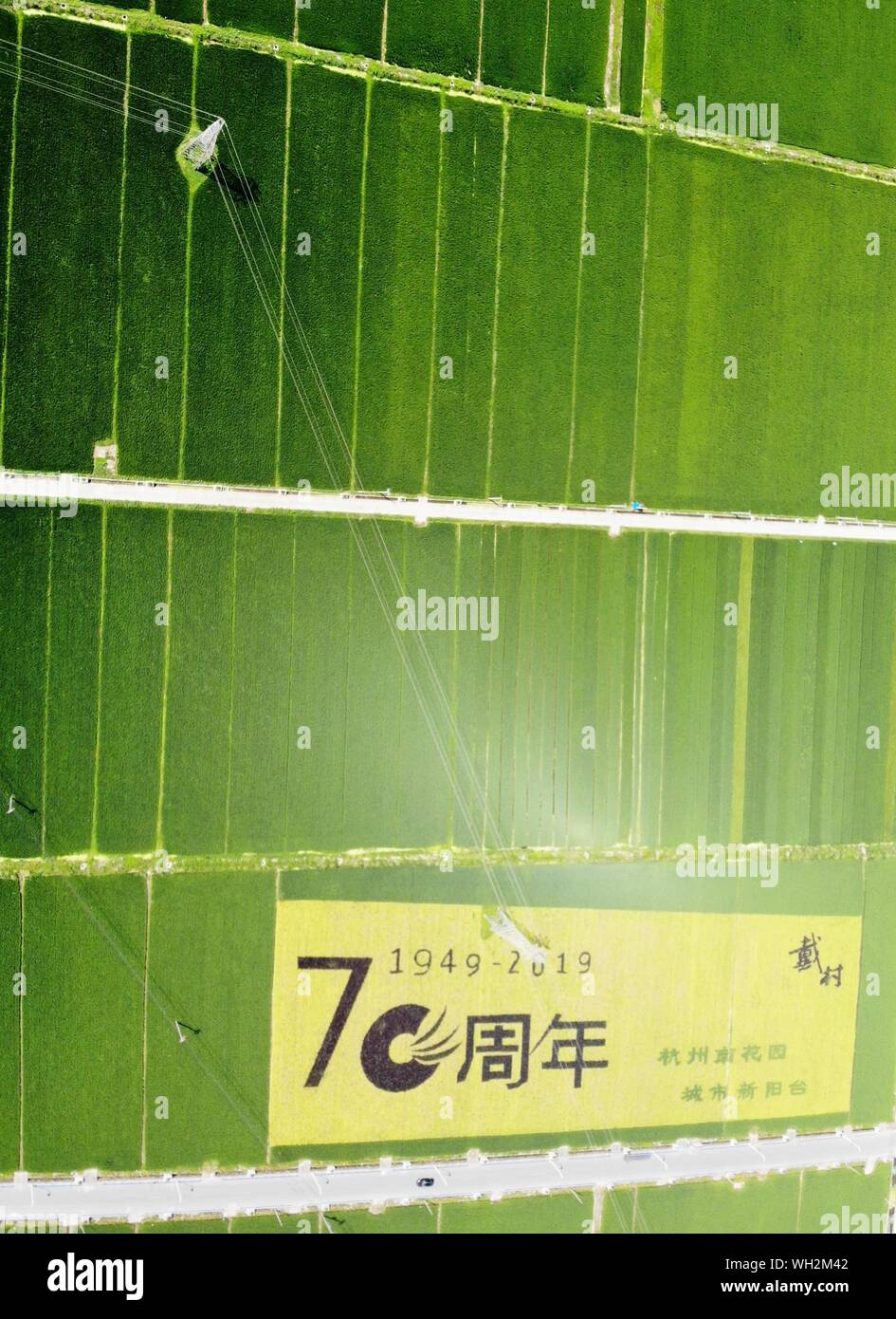 Huge painting of colored rice hi-res stock photography and images - Alamy