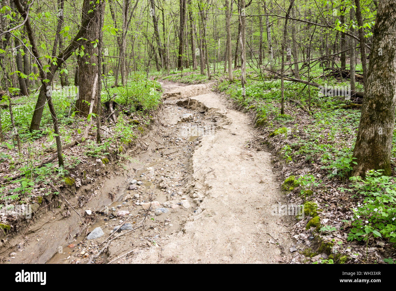 Seven Mile Creek County Park, Minnesota Stock Photo Alamy