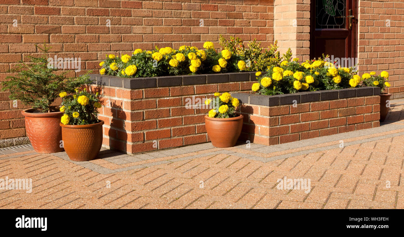 Raised Flower Bed on a Patio with Pots in Norfolk England, UK Stock Photo