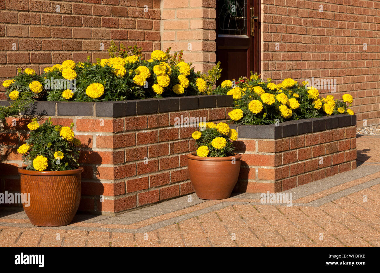 Raised Flower Bed on a Patio with Pots in Norfolk England, UK Stock Photo